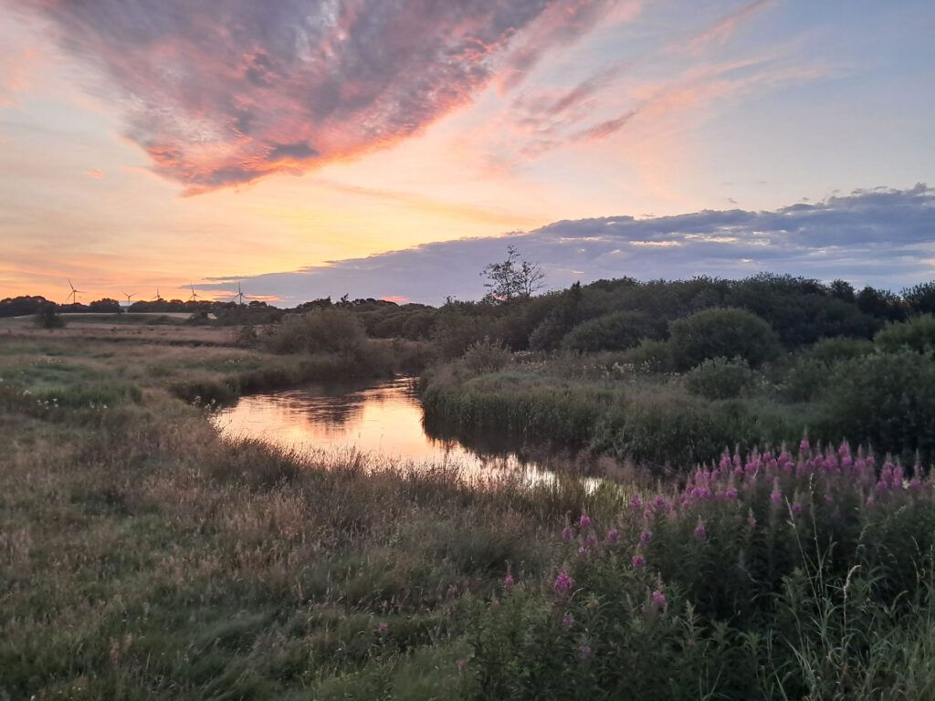 Tidlig morgen