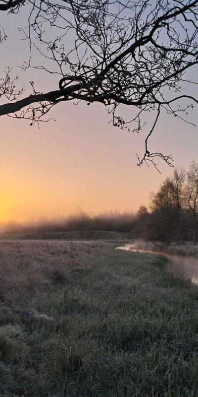 Morgen ved Holtum Å